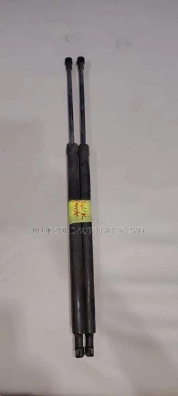 Suzuki Wagon R Dicky Door Shocks