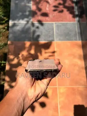 Apple iPhone XS Max (Used)