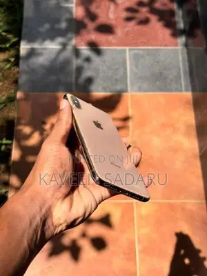 Apple iPhone XS Max (Used)