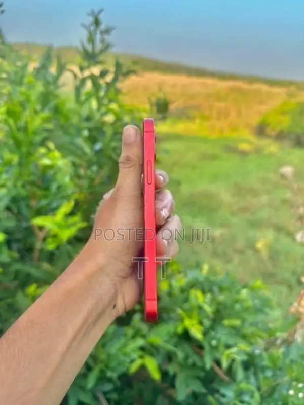 Apple iPhone 12 (Used)