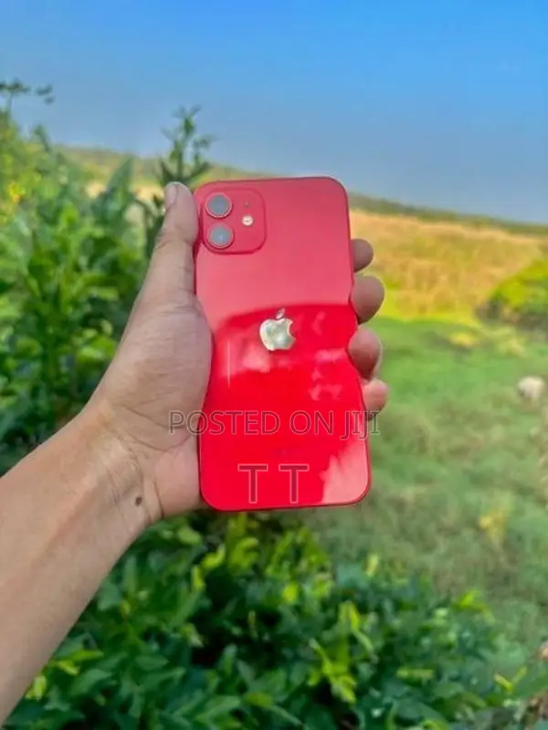 Apple iPhone 12 (Used)