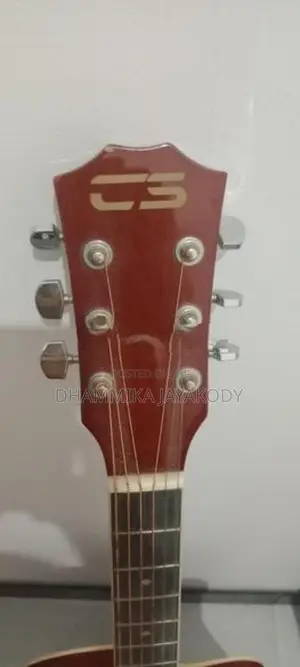 Guitar