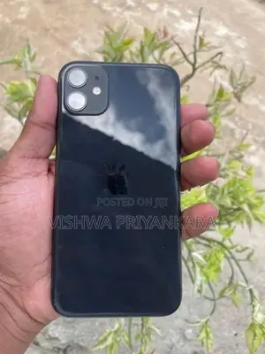 Apple iPhone 11 (Used)