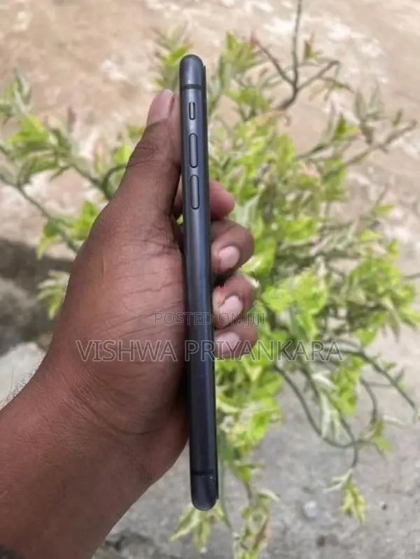 Apple iPhone 11 (Used)