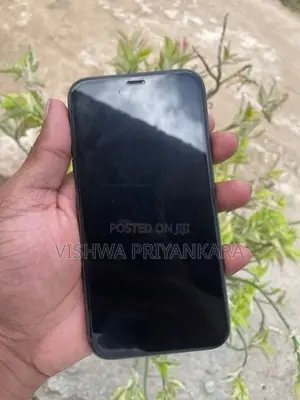 Apple iPhone 11 (Used)