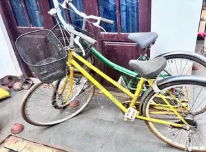 Two Female bicycles