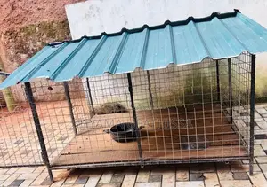 Dog Kennel