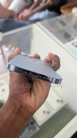 Apple iPhone 13 Pro Max (Used)