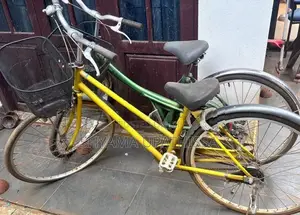 Two Female bicycles