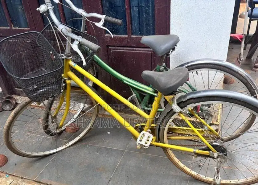 Two Female bicycles