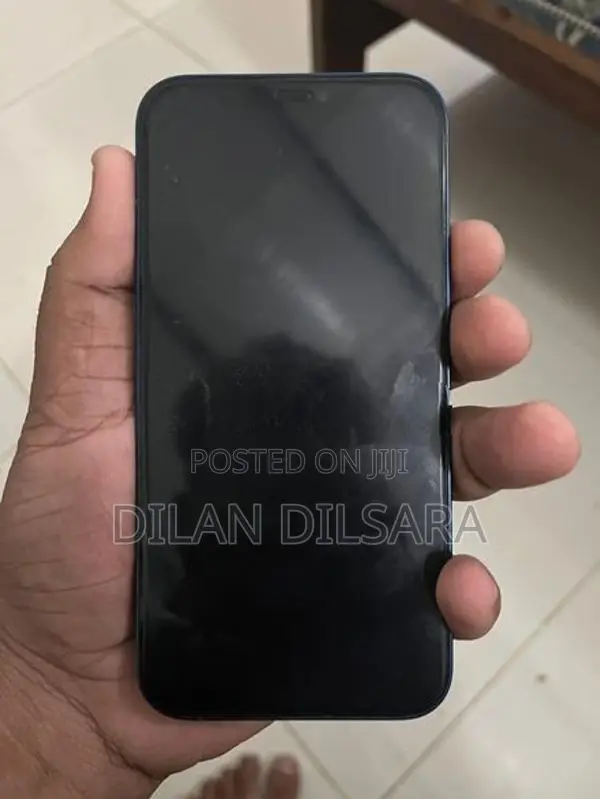 Apple iPhone 12 (Used)