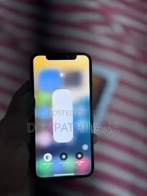 Apple iPhone XS 256GB (Used)