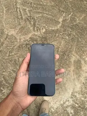 Apple iPhone 12 Pro (Used)
