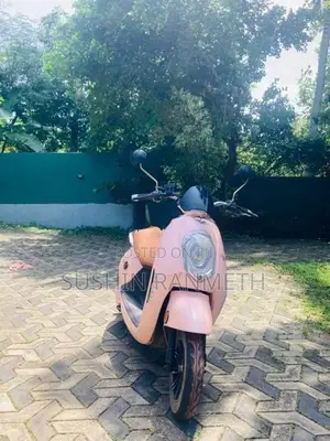 SUNRA Electric Bike 2017