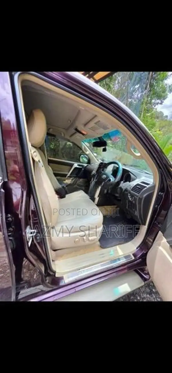 Toyota Land Cruiser Prado 2010