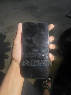 Apple iPhone 12 Pro Max (Used)