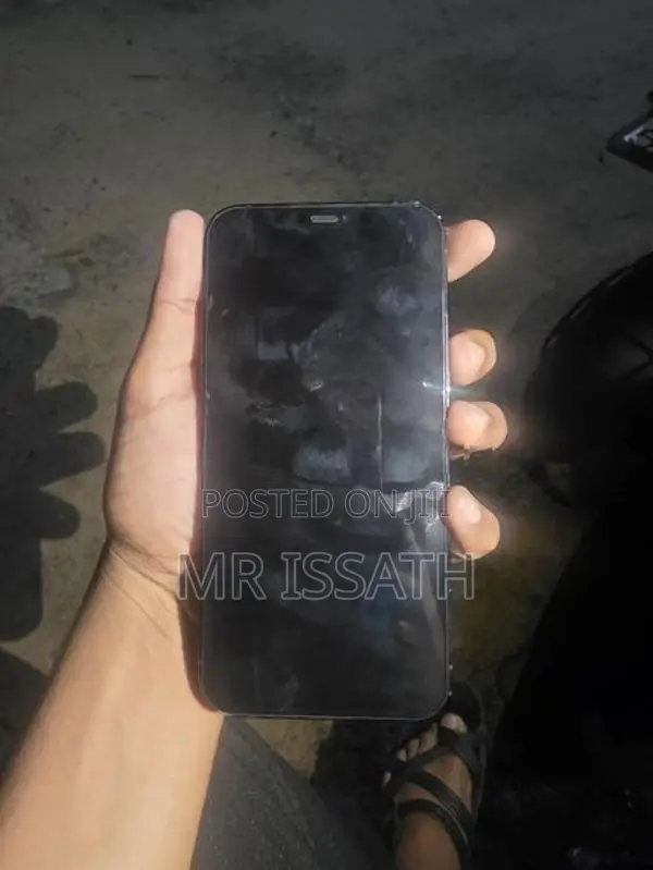 Apple iPhone 12 Pro Max (Used)