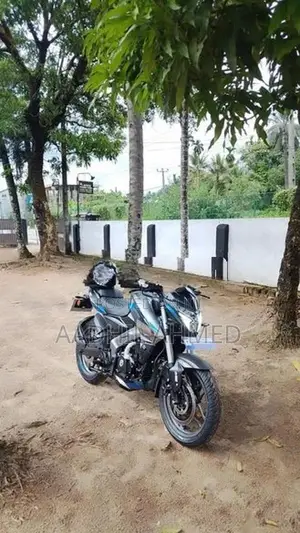 Bajaj Pulsar NS200 2026