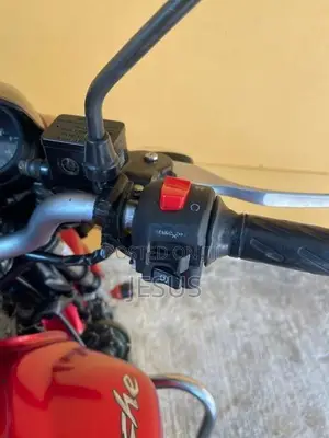 TVS Apache 2008
