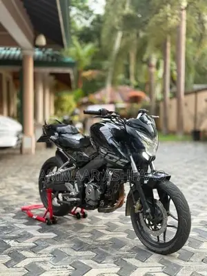 Bajaj Pulsar NS200 2017
