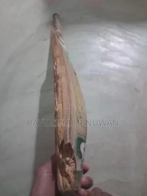 Cricket Set