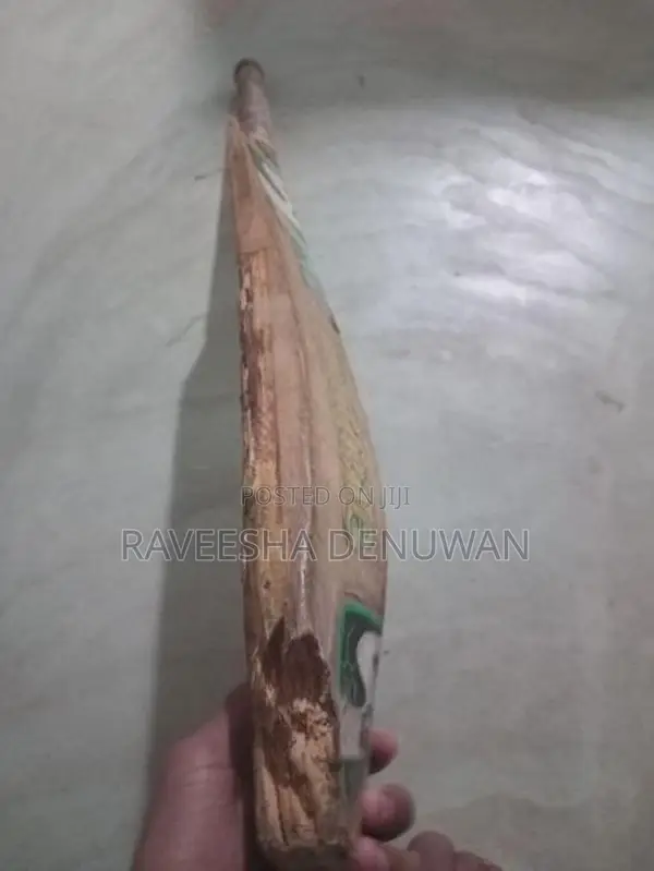 Cricket Set