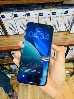 Apple iPhone 13 Pro Max (Used)