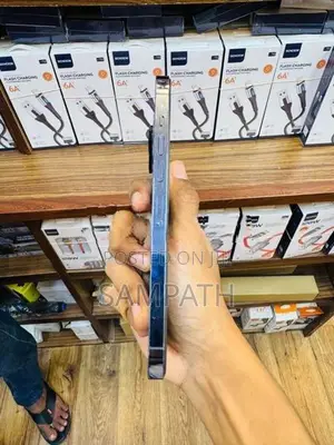 Apple iPhone 13 Pro Max (Used)