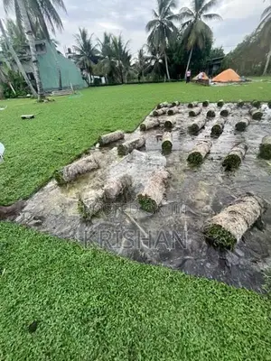 Malaysian Grass Carpet
