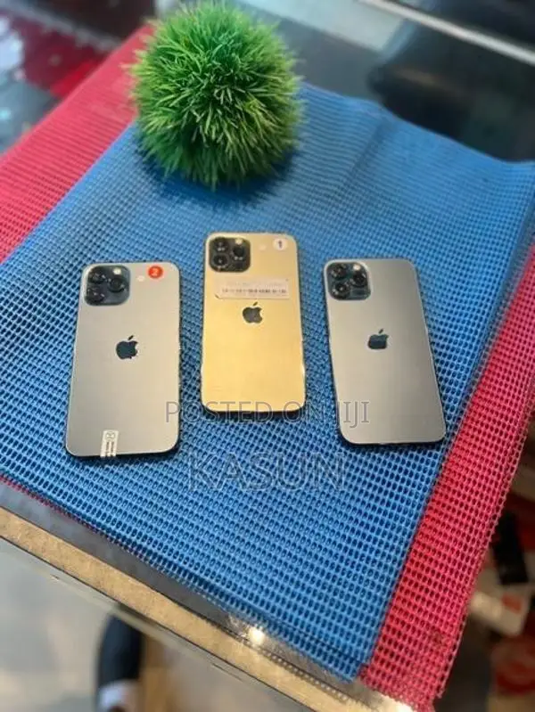 Apple iPhone 12 Pro Max (Used)