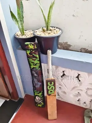 DSC Hard Ball Cricket Bat