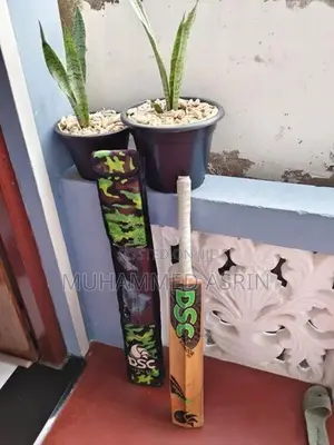 DSC Hard Ball Cricket Bat