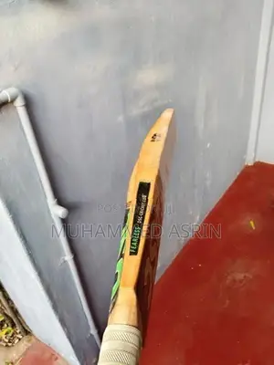 DSC Hard Ball Cricket Bat