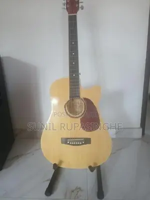 Acoustic Guitar