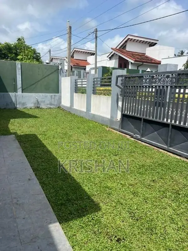 Malaysian Grass Carpet