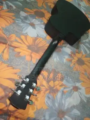 Acoustic Guitar