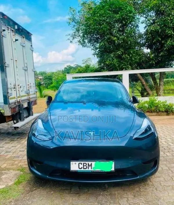 Tesla Model Y 2024
