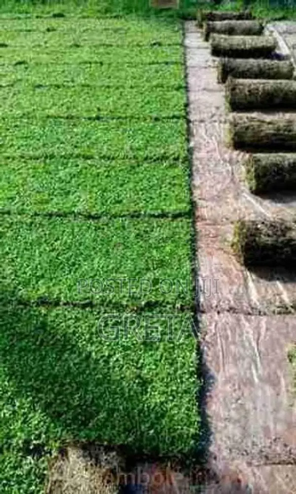Malaysian Grass with Interlock