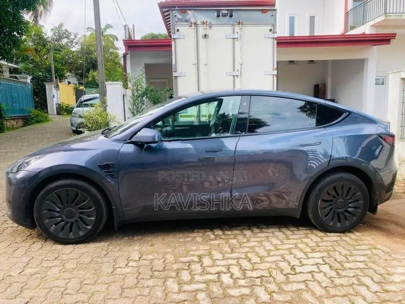 Tesla Model Y 2024