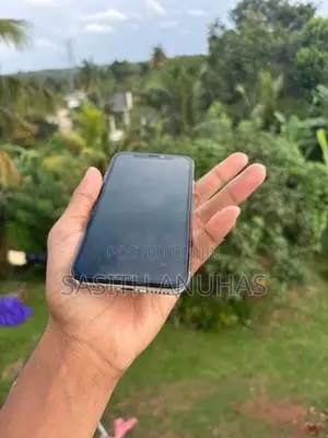 Apple iPhone X (Used)