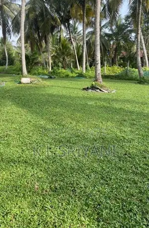 Grass