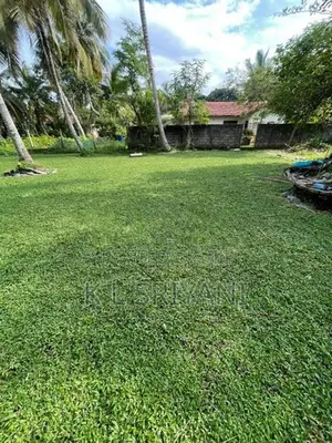 Grass