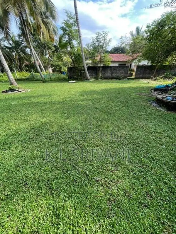 Grass