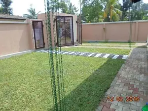 Malaysian Grass