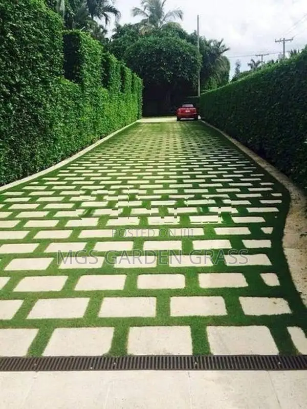 Malaysian Grass