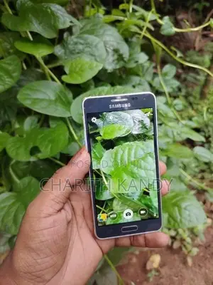 Samsung Galaxy Alpha 2GB 32GB (Used)