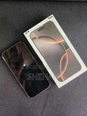 Apple iPhone 16 Pro Max 256GB (Used)