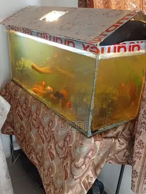 Fish Tank