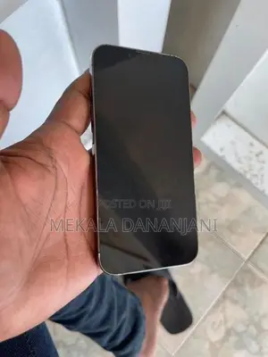 Apple iPhone 13 Pro 256GB (Used)