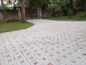 Malaysian Grass Planting